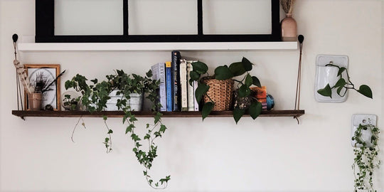 7 Best Tips and Tricks for Organizing Your Home