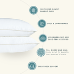 Bamboo Pillow Infographic